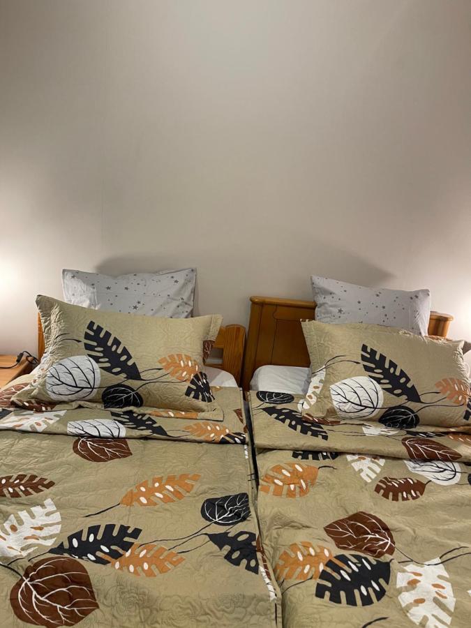 Appartement 3 Pieces Pour 1 A 5 Voyageurs Rillieux-la-Pape المظهر الخارجي الصورة