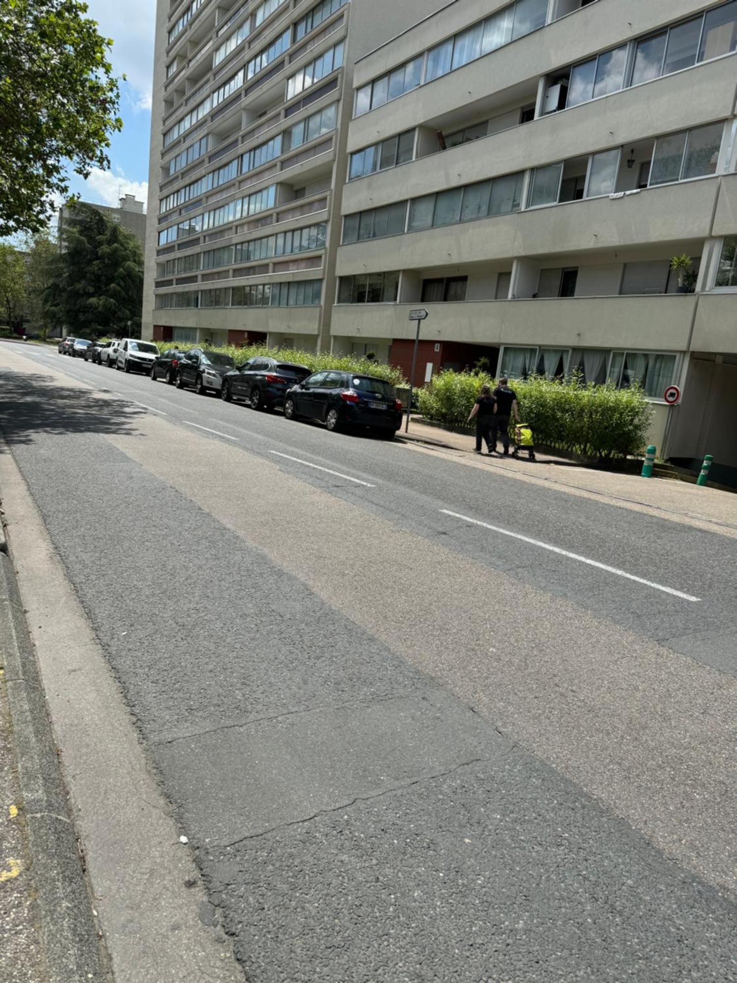 Appartement 3 Pieces Pour 1 A 5 Voyageurs Rillieux-la-Pape المظهر الخارجي الصورة